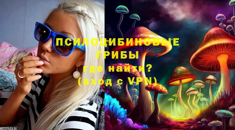 купить   Камышлов  Галлюциногенные грибы Magic Shrooms 