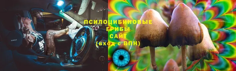 Галлюциногенные грибы Magic Shrooms Камышлов